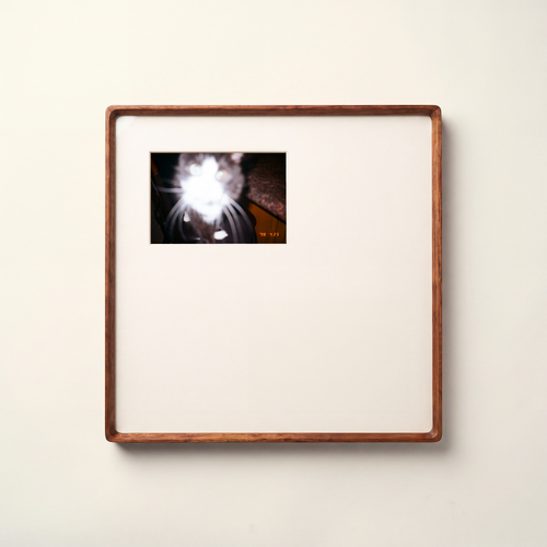 Bevelled Walnut Frame 35 x 35 cm - White Offset Mount