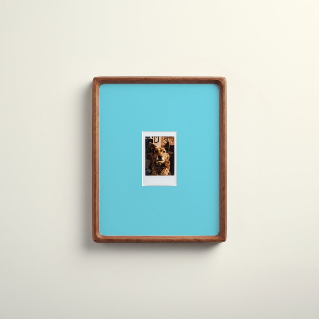 Instax Mini Mount Four Pack · Colour Set