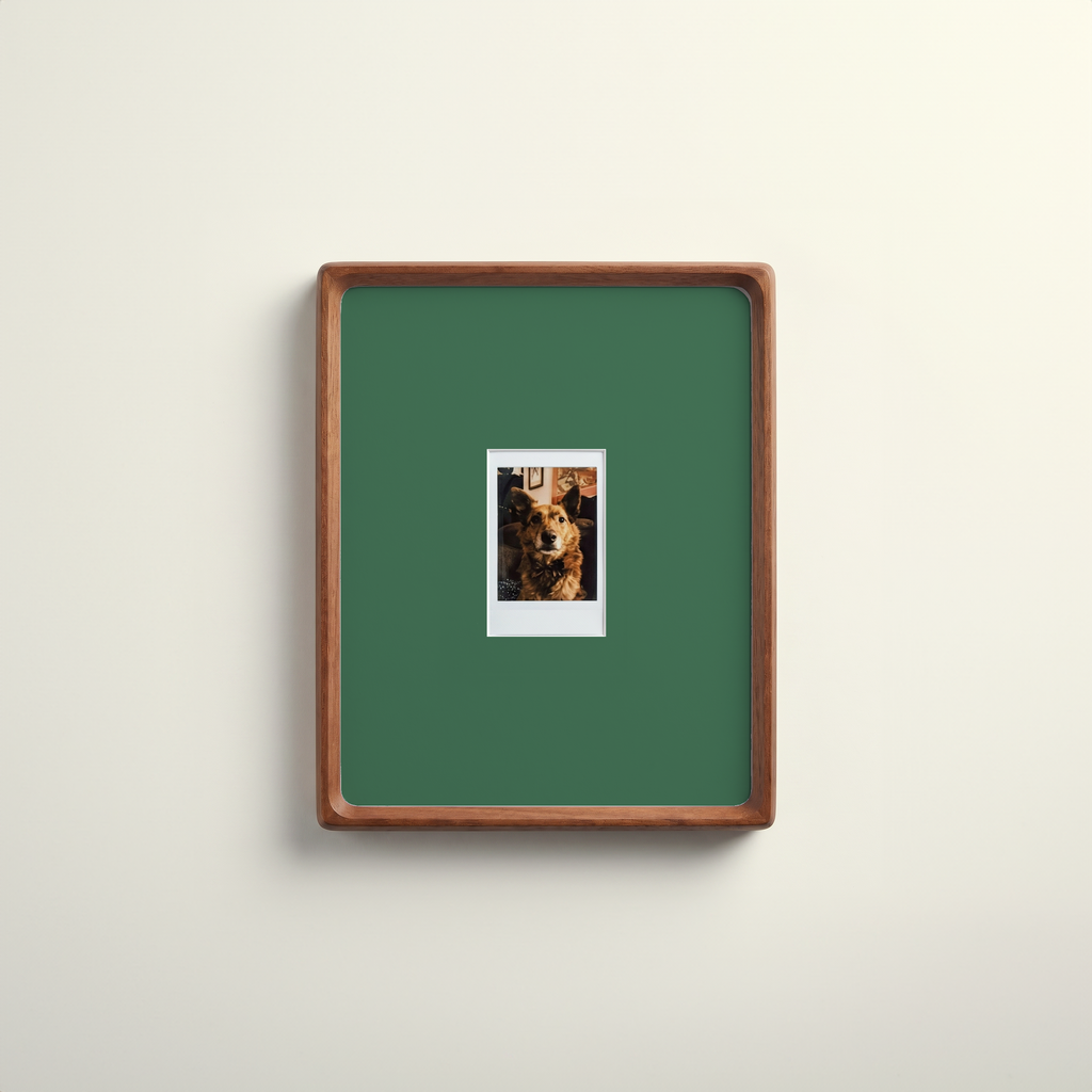 Instax Mini Mount Four Pack · Colour Set