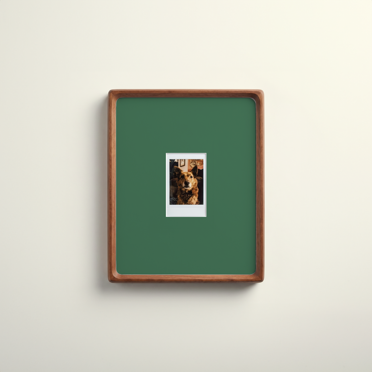 Mount Colour Addition - 4 Pack - Mini Instax