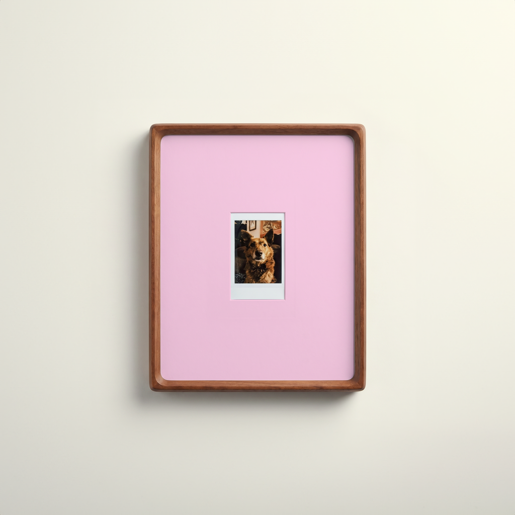 Instax Mini Mount Four Pack · Colour Set