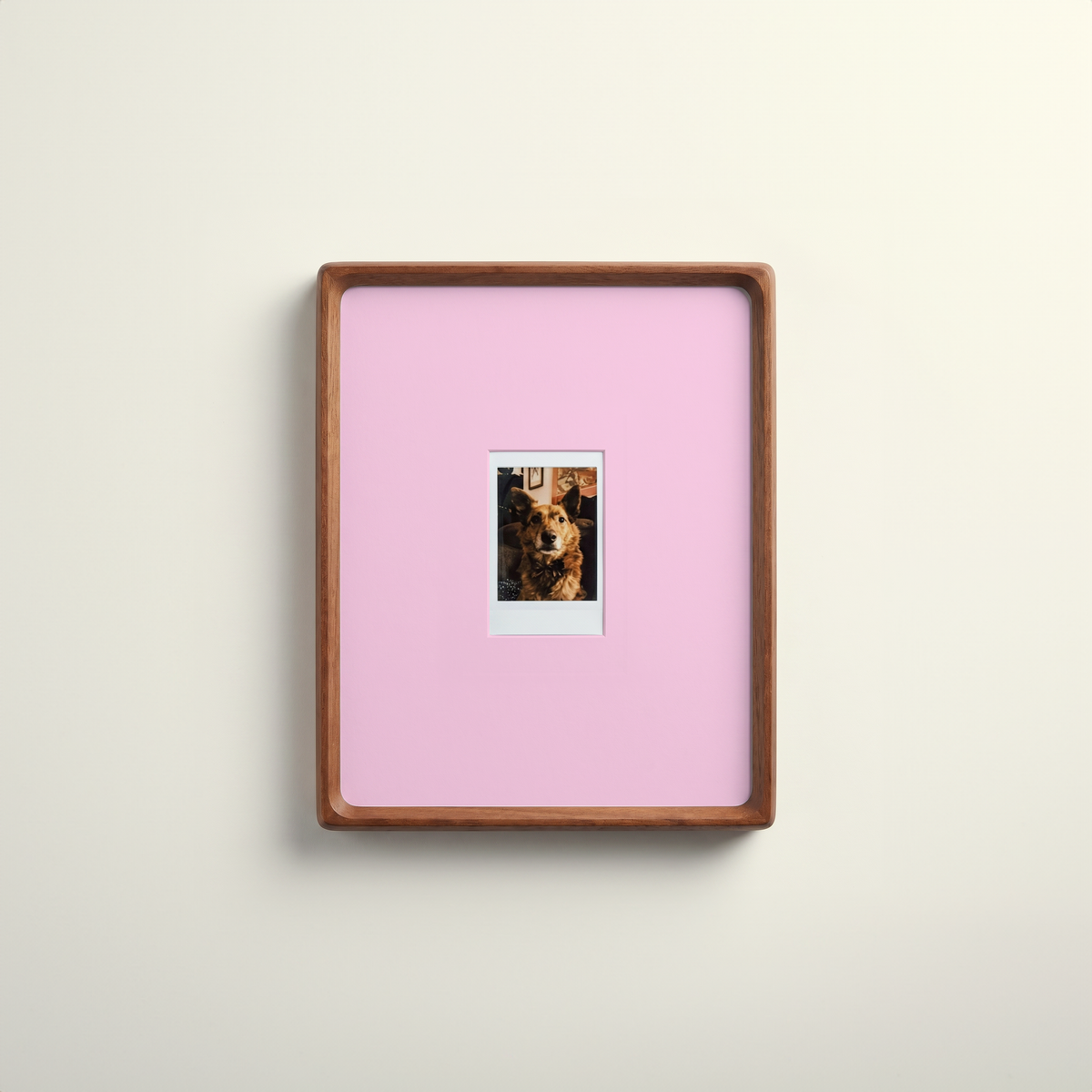 Mount Colour Addition - 4 Pack - Mini Instax