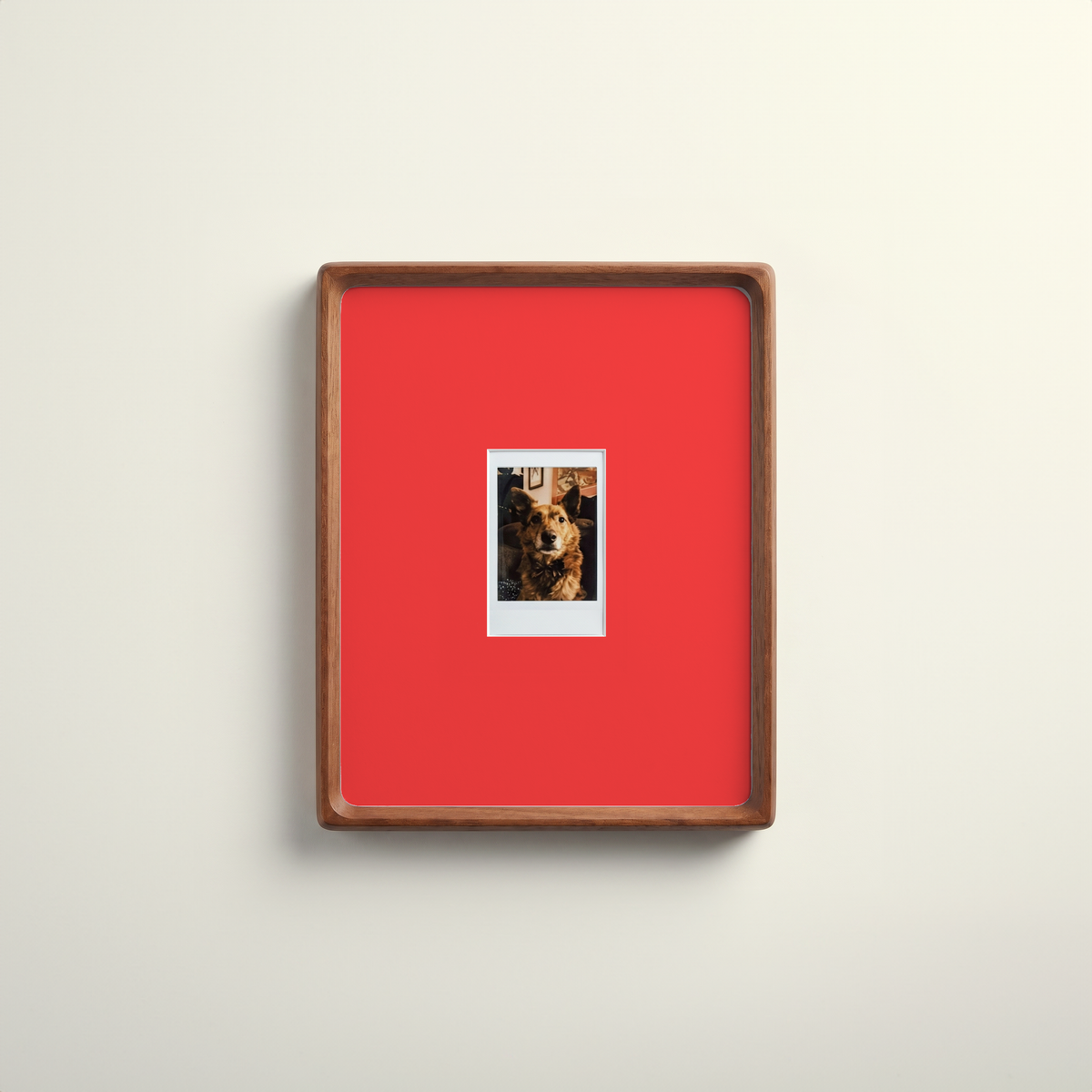 Mount Colour Addition - 4 Pack - Mini Instax