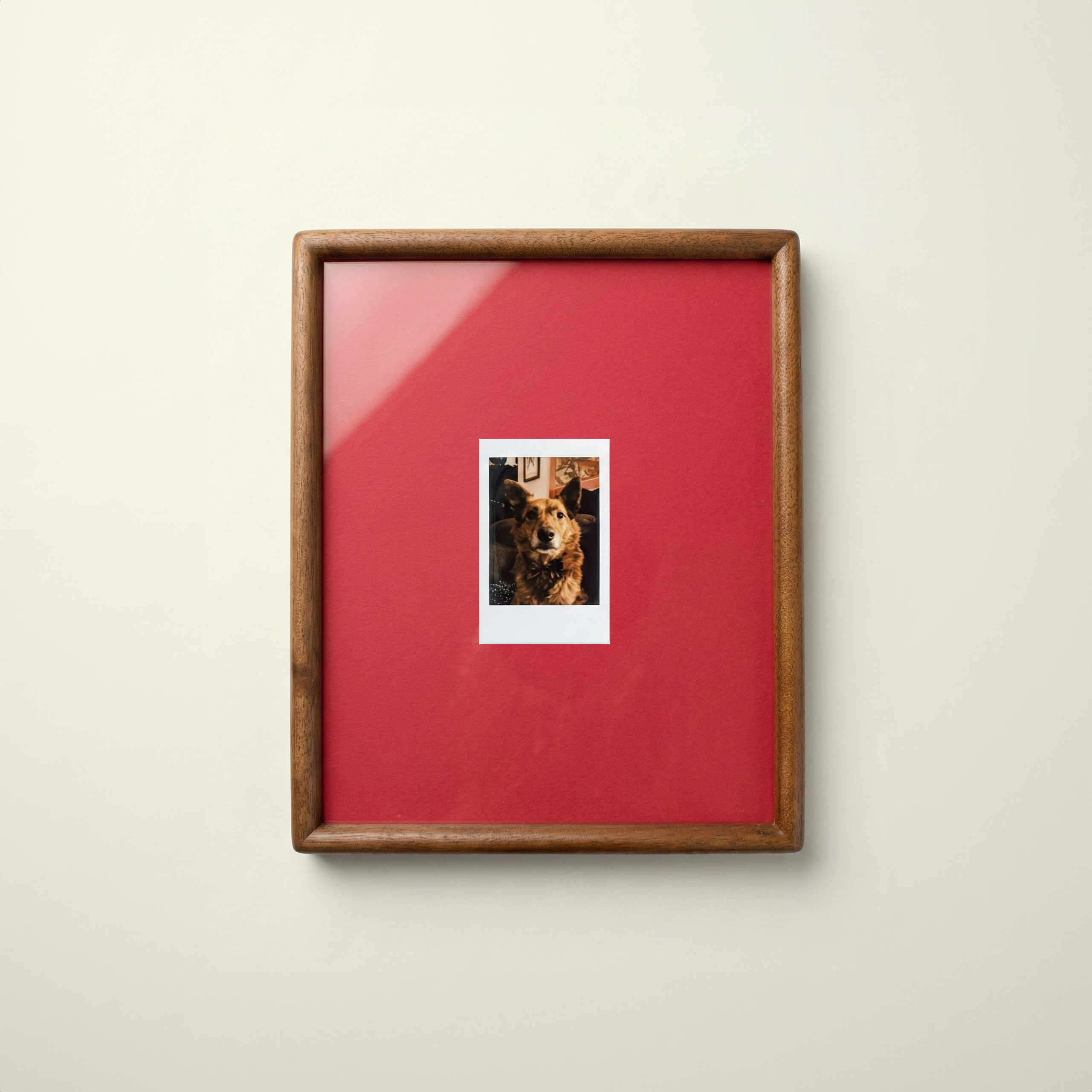Solid Walnut Polaroid Frame: With Colored Mount for Instant Photos